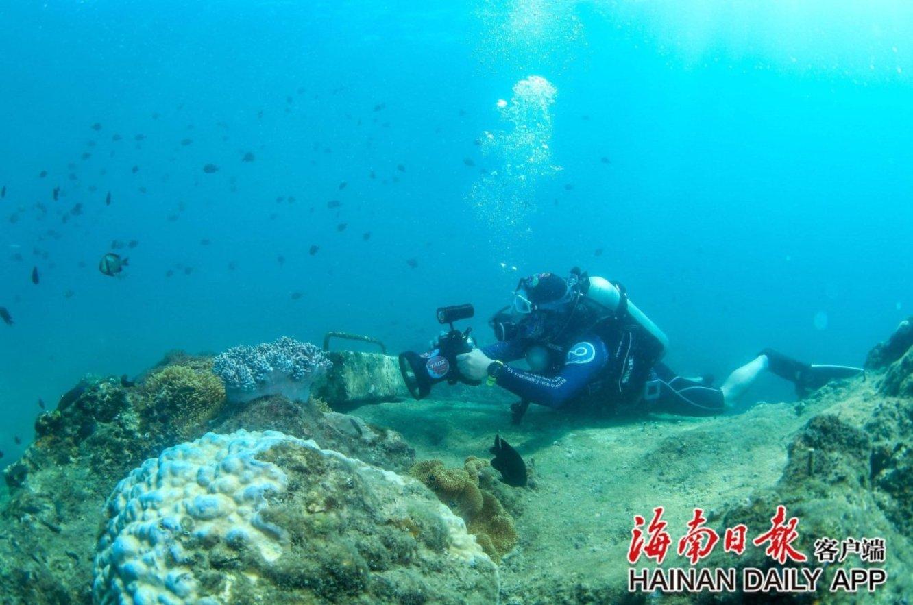 大腿上脂肪太多怎么减知识星球|精华知识分享平台