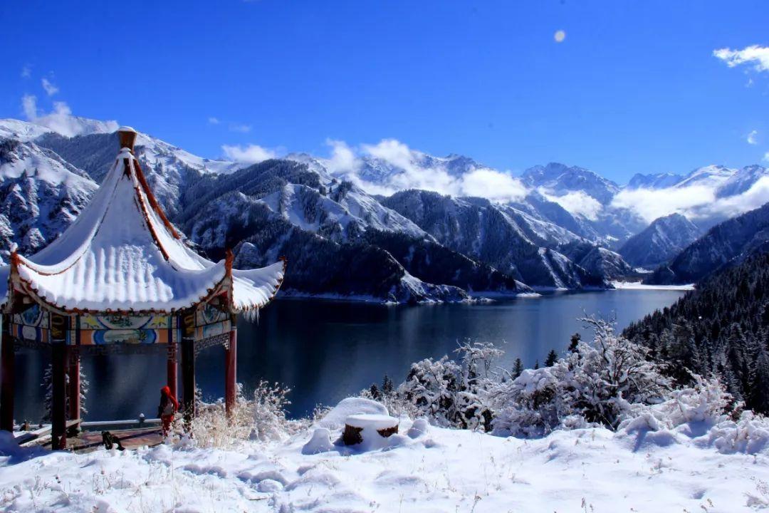 了解洋葱怎么做最好吃?知识星球-专注知识分享的平台